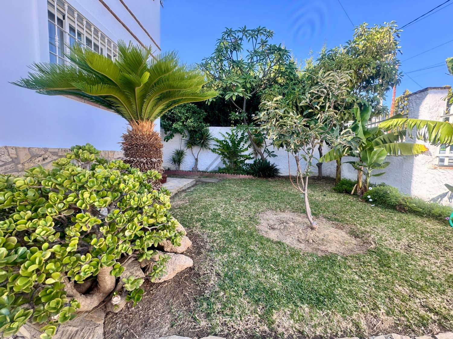 Maravillosa casa independiente con jardin y piscina