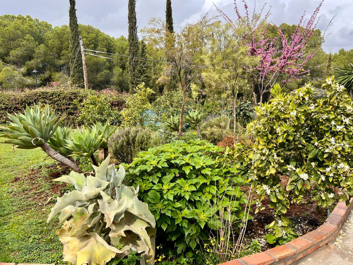 Casa Independiente con jardin y piscina en Pinos de Alhaurin