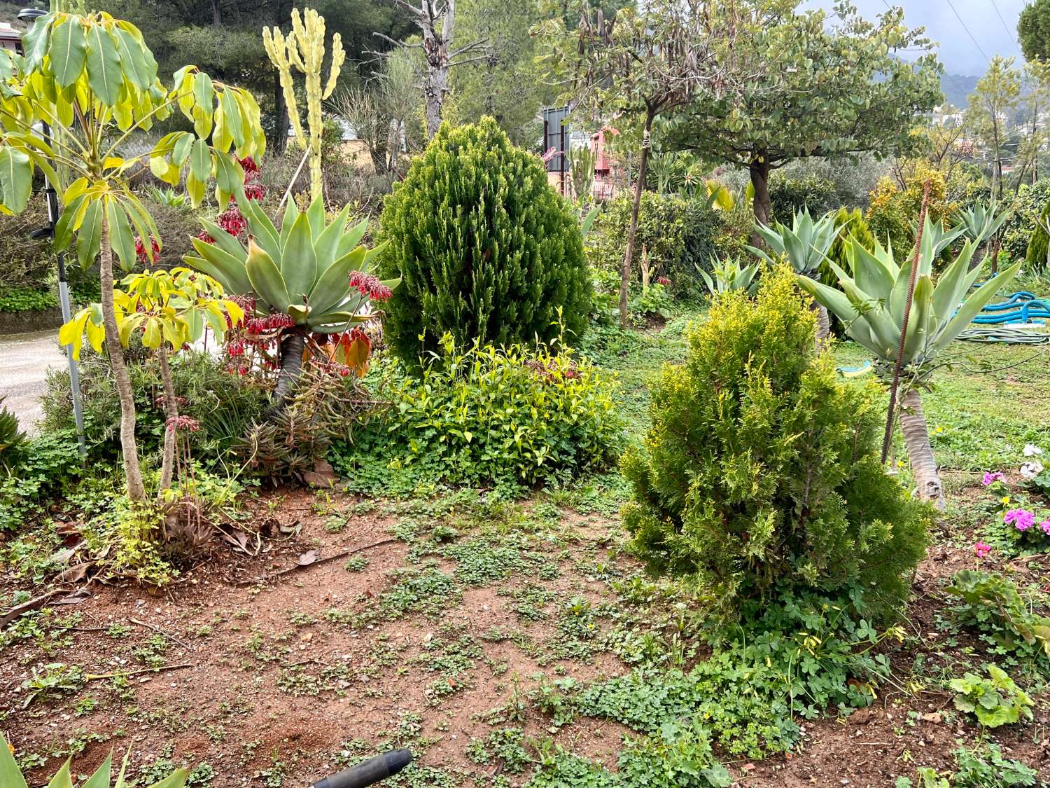 Casa Independiente con jardin y piscina en Pinos de Alhaurin